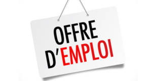 Emploi job offre